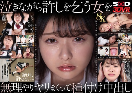DSVR-1991 (SODVR)(13dsvr01991)【8K VR】泣き虫美少女をしまくって孕ませる。 陰キャな僕