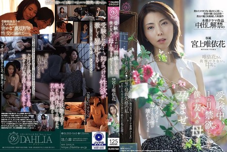DLDSS-540 [BT](FALENO)(DLDSS-540) 受験中、1か月禁欲していた僕が友人の母を孕ませてしまった。 宮上唯依花